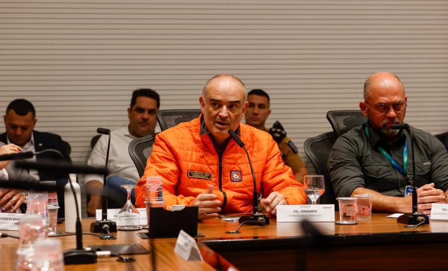 Estado mobiliza doação de 8 toneladas de frango por cooperativas; Defesa Civil entrega cestas básicas