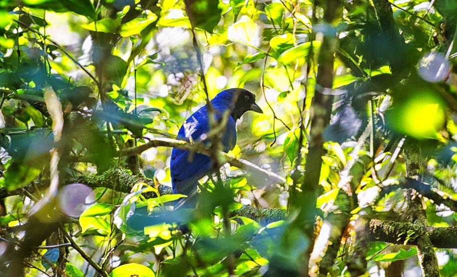Confira o funcionamento dos órgãos e parques no feriado de Nossa Senhora Aparecida