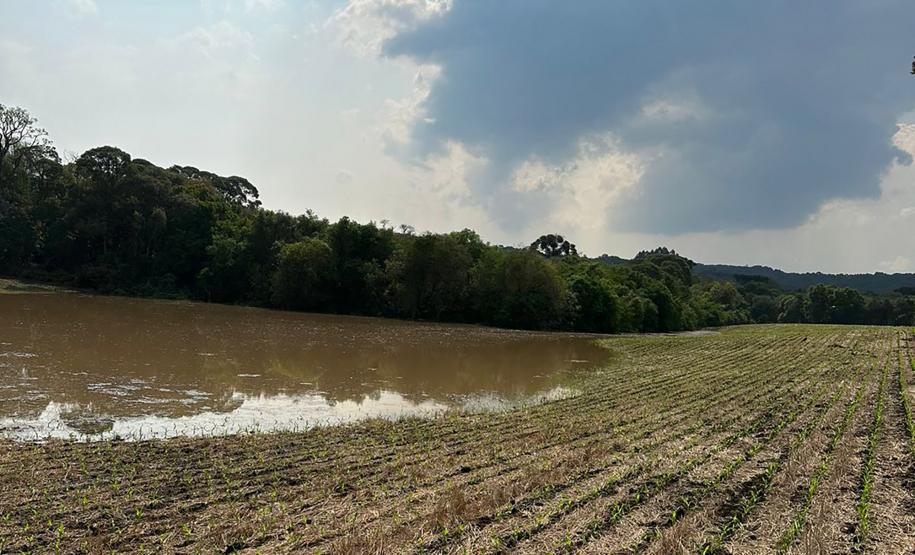A Defesa Civil do Paraná divulgou um balanço neste domingo (08) que aponta 40 municípios afetados pelos eventos meteorológicos que atingem o estado desde o ultimo diz 03. A estimativa é que mais de 13 mil pessoas tenham sido afetadas pelo mau tempo