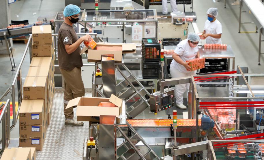 Desemprego cai por três trimestres seguidos e chega a 4,6% no Paraná, 5ª menor taxa do País