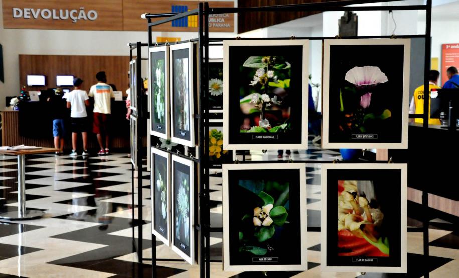 “O Quebra-Nozes” e nova exposição no Alfredo Andersen marcam a agenda cultural