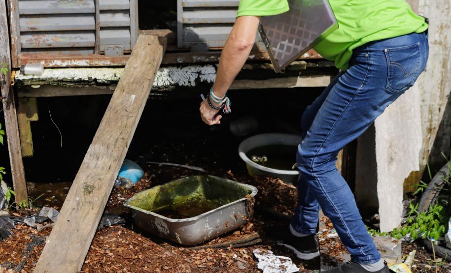 Mais de 300 profissionais trabalham na conscientização contra a dengue no Litoral