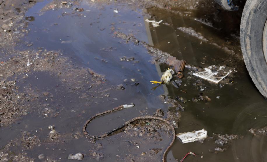 Mais de 300 profissionais trabalham na conscientização contra a dengue no Litoral