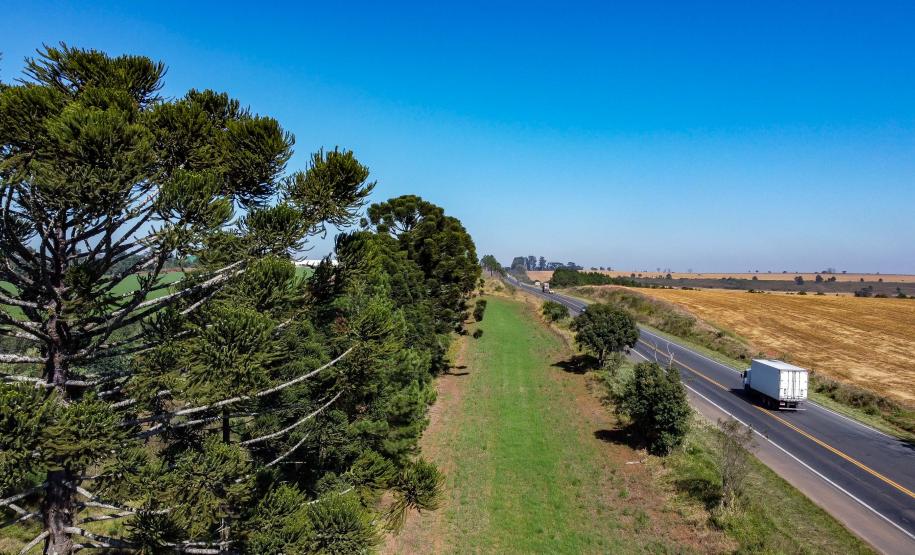 Com assinatura dos contratos, rodovias dos lotes 1 e 2 garantem grandes investimentos