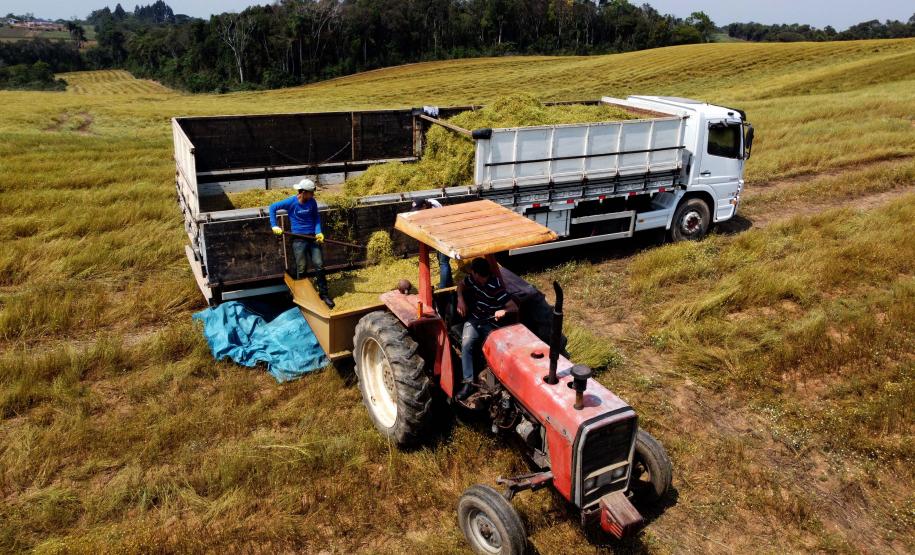 Confira todos os detalhes do concurso público de 253 vagas do Governo do Paraná