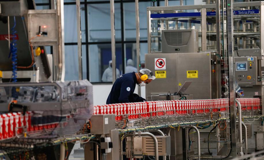 Com 87,6 mil novos postos em 2023, Paraná se consolida como maior empregador do Sul