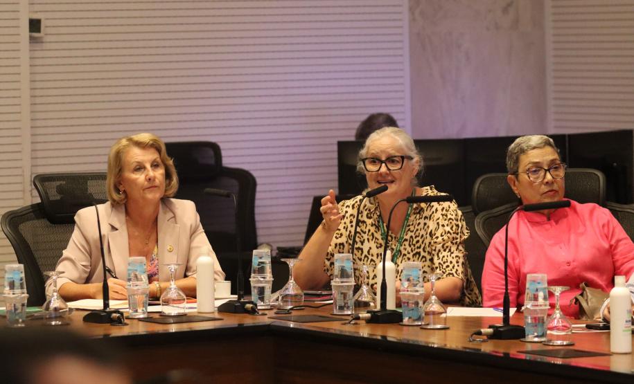 Reuniao do Comite de enfrentamento a Dengue no Palacio Iguacu, nesta quarta-feira (28).