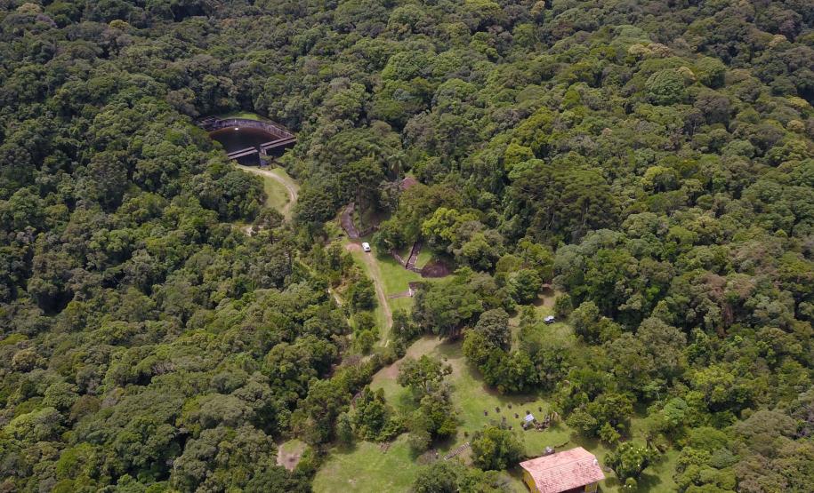 IAT indica redução de 71,5% na área de Mata Atlântica desmatada em 2023