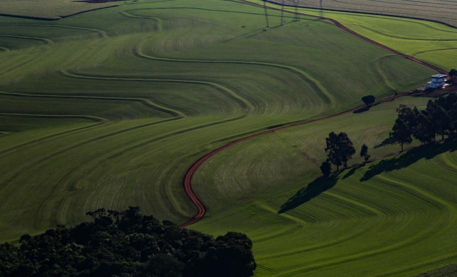 Paraná teve o maior crescimento da atividade econômica do Brasil em 2023