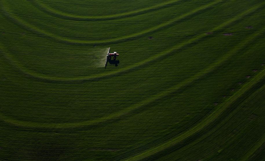 Paraná teve o maior crescimento da atividade econômica do Brasil em 2023