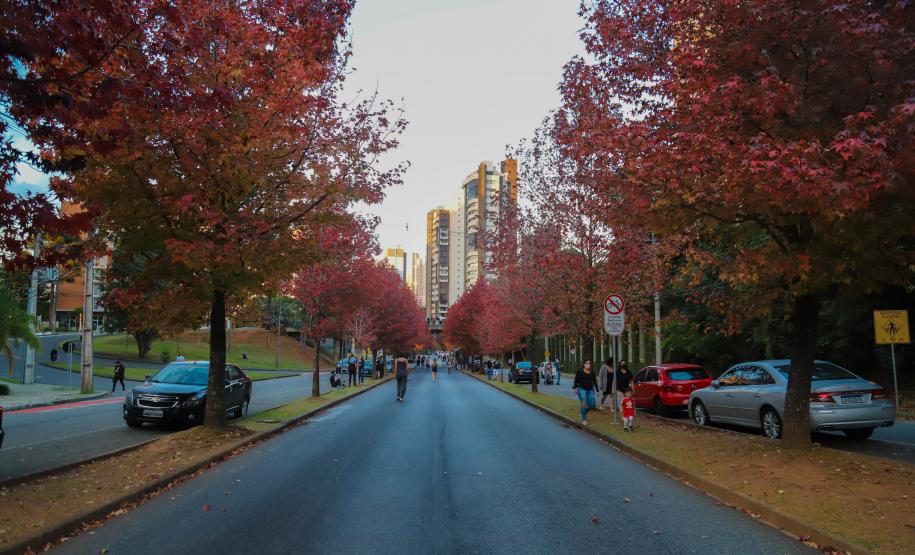 Outono terá veranicos, nevoeiros, geadas e diminuição das chuvas no Paraná