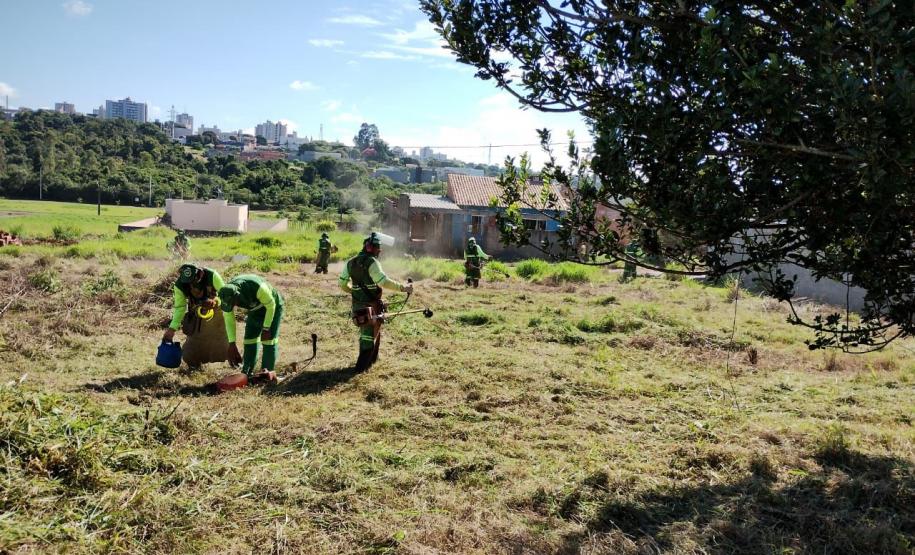 Paraná decreta situação de emergência em saúde pública para dengue