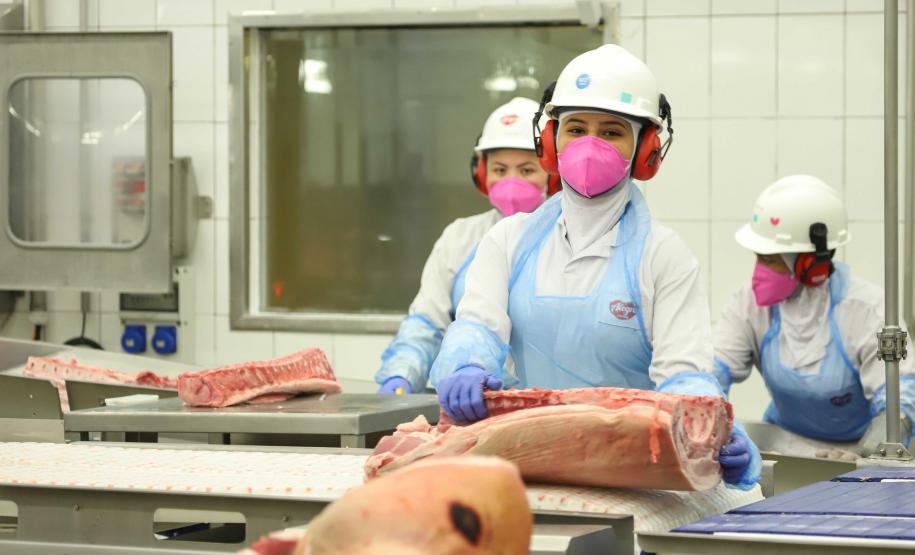 Com 6 mil mulheres contratadas, Paraná teve 3º melhor resultado de emprego do País em janeiro