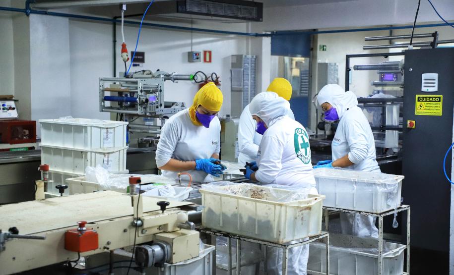 Com aumento de 3,26%, salário médio do Paraná foi o que mais cresceu na região Sul em 2023