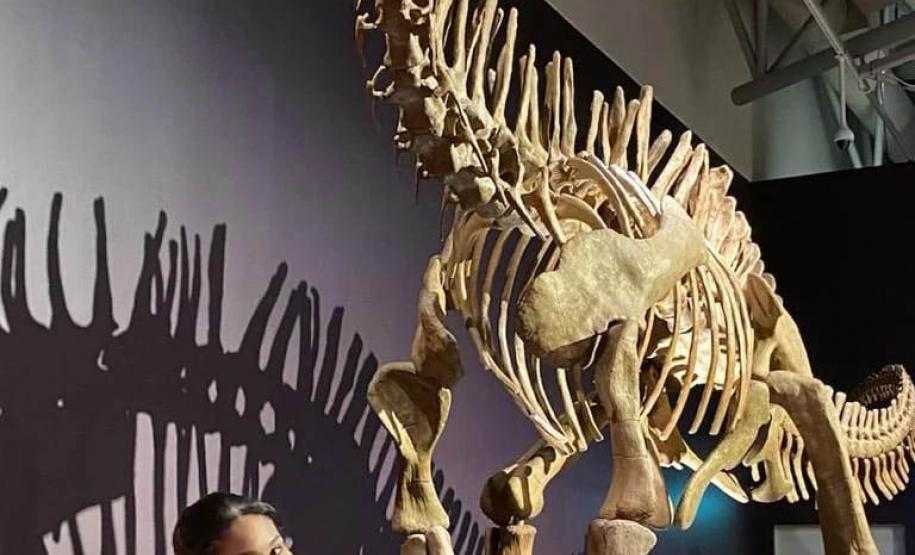 Júlia Oliveira, de Lindoeste, sentiu evolução no inglês já nos primeiros dias de Nova Zelândia.