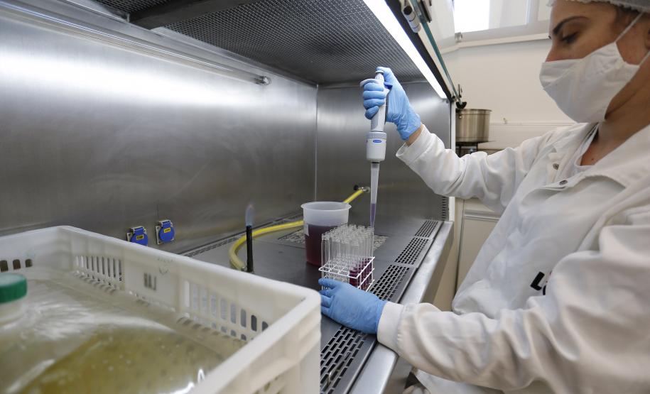 Com 6 mil mulheres contratadas, Paraná teve 3º melhor resultado de emprego do País em janeiro