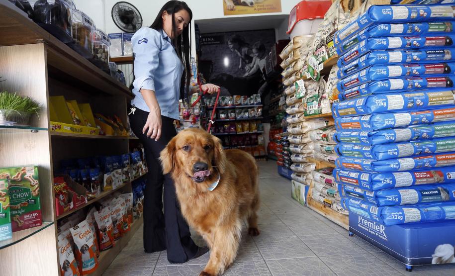 PIB do Paraná cresce o dobro da média nacional em 2023, com alta de 5,8%