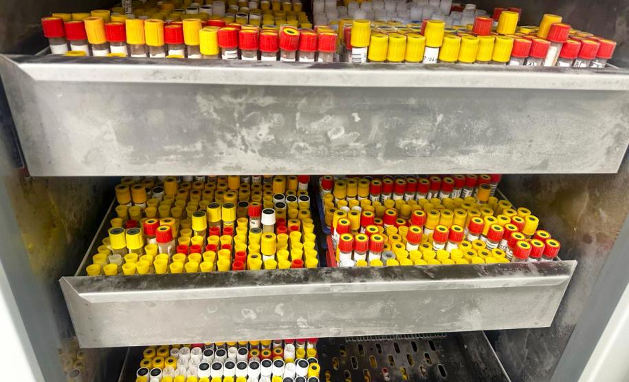 No Paraná, a dengue é diagnosticada de diferentes maneiras: critério clínico epidemiológico, exame laboratorial de sorologia ELISA (Enzyme Linked Immuno Sorbent Assay) e exame de Reação em Cadeia da Polimerase em Tempo Real (RT-qPCR). Diferente da Covid-19, os exames laboratoriais de arboviroses são utilizados para critérios de vigilância em saúde.