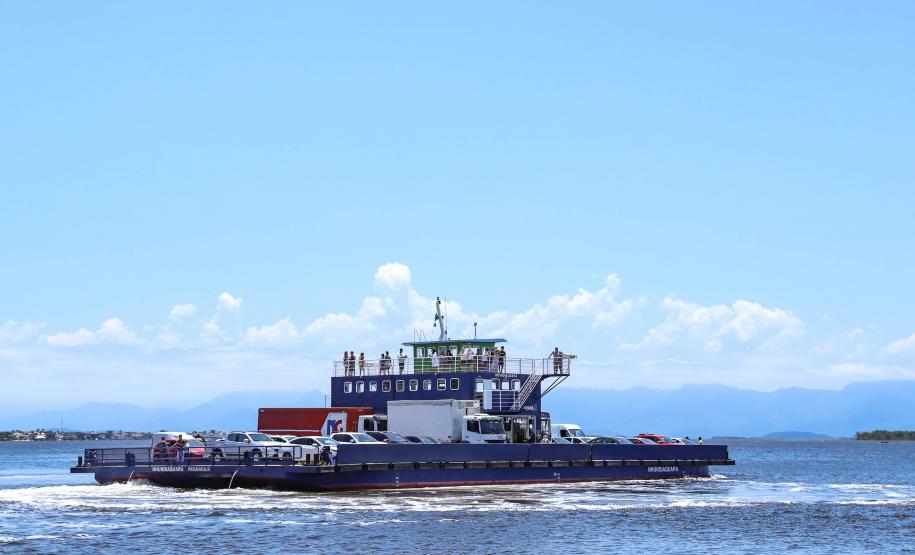 Nova ponte deve proporcionar retorno de fauna marinha à Baia de Guaratuba