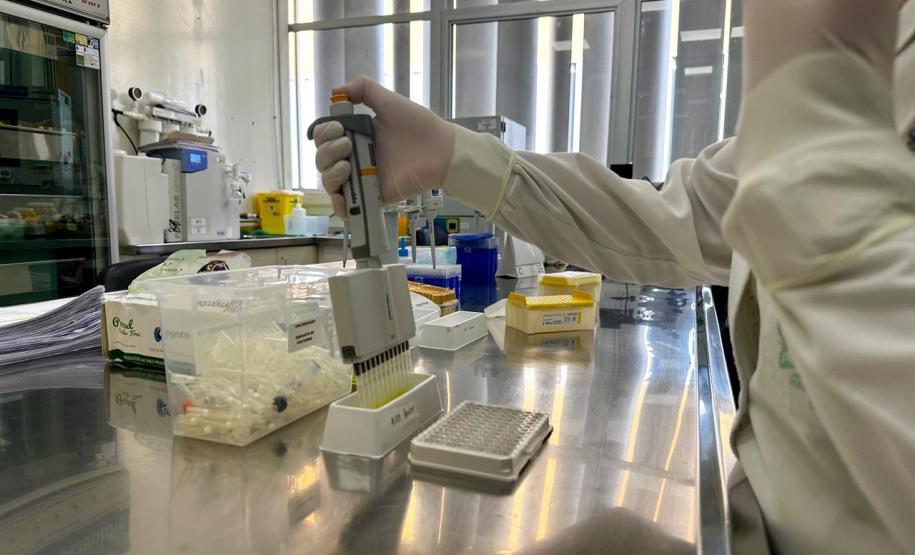 No Paraná, a dengue é diagnosticada de diferentes maneiras: critério clínico epidemiológico, exame laboratorial de sorologia ELISA (Enzyme Linked Immuno Sorbent Assay) e exame de Reação em Cadeia da Polimerase em Tempo Real (RT-qPCR). Diferente da Covid-19, os exames laboratoriais de arboviroses são utilizados para critérios de vigilância em saúde.