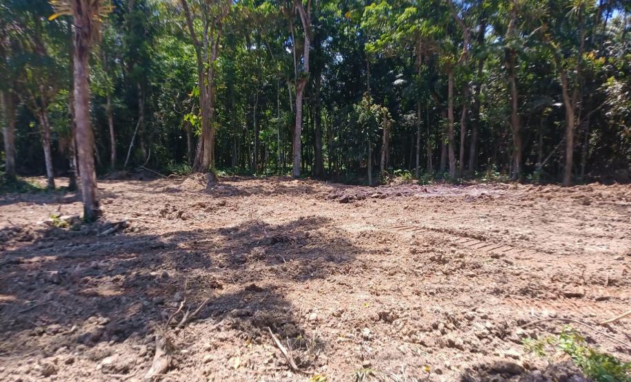 IAT aplicou R$ 40,2 milhões em multas por danos ambientais entre janeiro e março deste ano