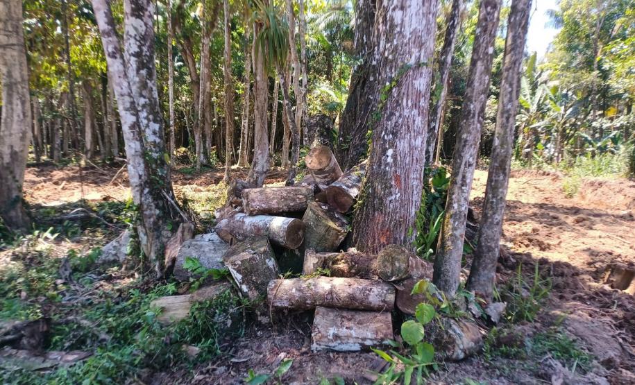 IAT aplicou R$ 40,2 milhões em multas por danos ambientais entre janeiro e março deste ano