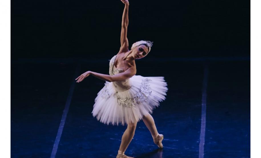 Poty, João Carlos Martins, Nando Reis e Abril Indígena são os destaques da agenda cultural