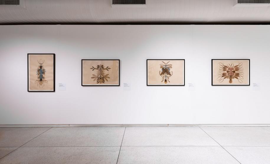 Nova mostra no MON, ópera no Guairão, Air Supply e arte indígena agitam agenda cultural