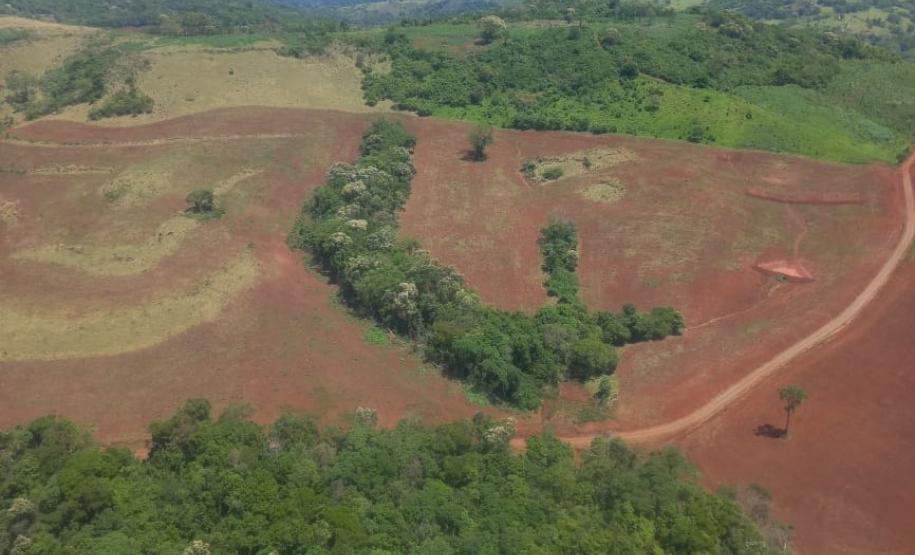 IAT aplicou R$ 40,2 milhões em multas por danos ambientais entre janeiro e março deste ano