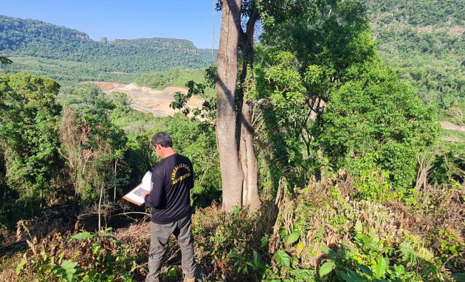 IAT aplicou R$ 40,2 milhões em multas por danos ambientais entre janeiro e março deste ano