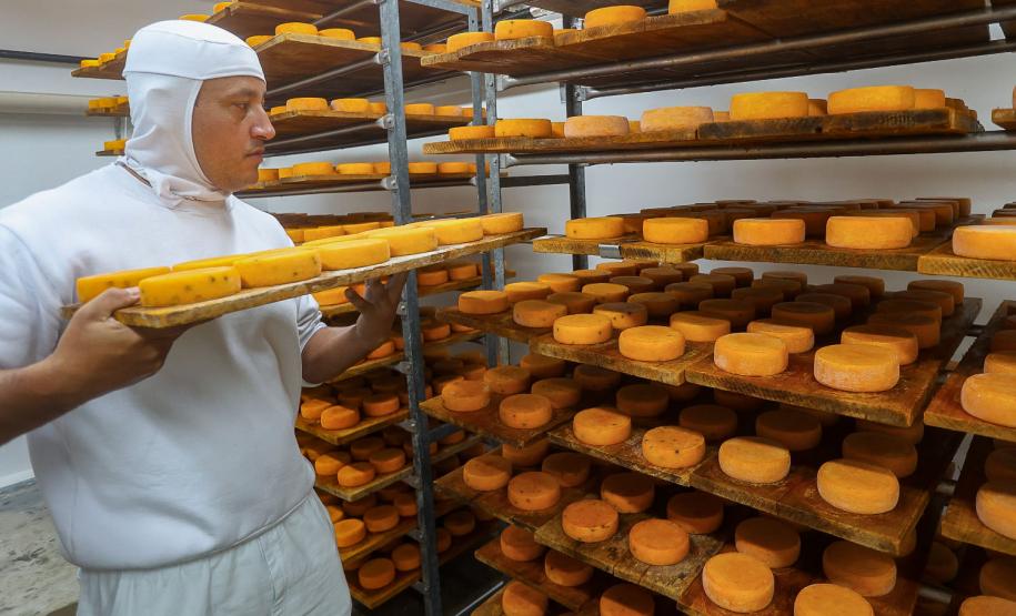 107 mil novos empregos em 78% das cidades: Paraná é destaque nacional nos últimos 12 meses