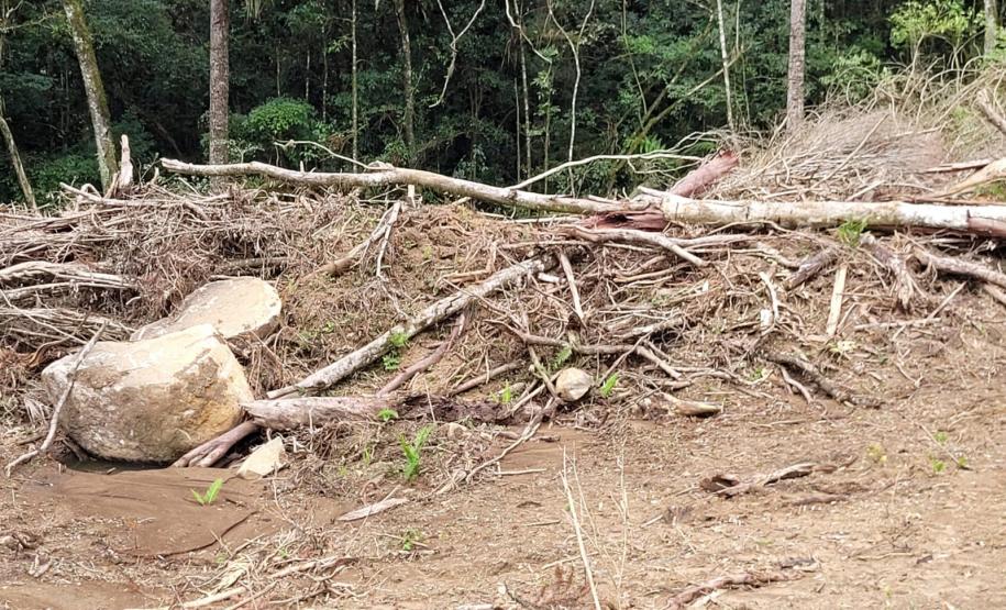 IAT aplicou R$ 40,2 milhões em multas por danos ambientais entre janeiro e março deste ano