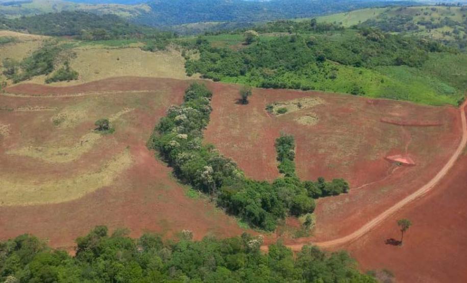 Operação de fiscalização remota aplicou R$ 5,9 milhões em multas por desmatamento ilegal no Paraná.