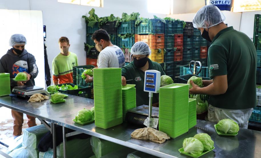 Pequenos negócios regionais terão preferência nas compras públicas do Paraná