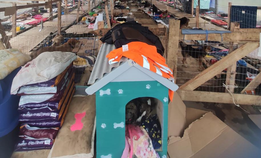 Paranaenses atendem mais de mil animais resgatados em hospital veterinário no RS