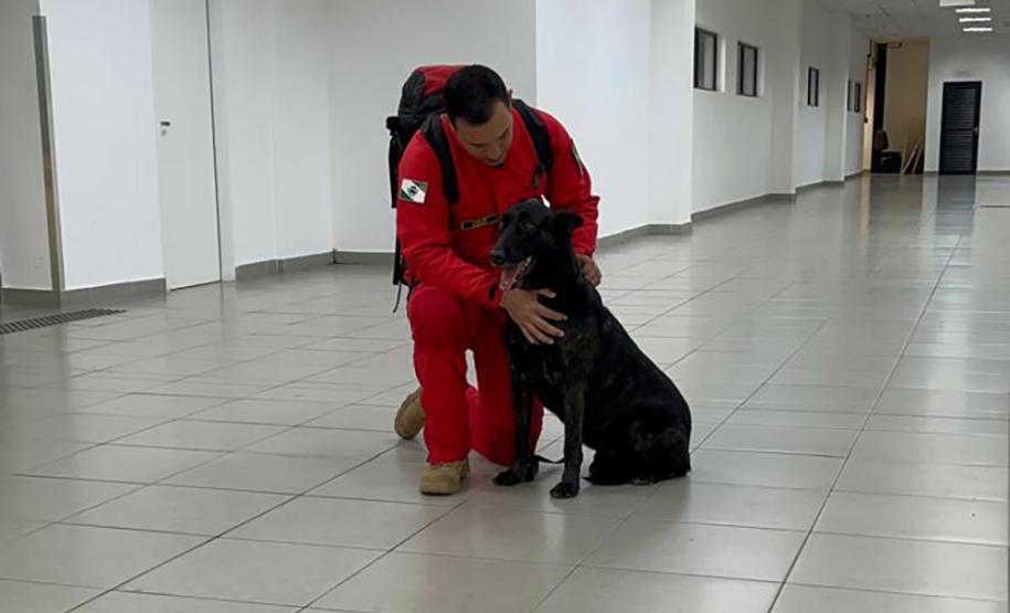 Cães e bombeiros do Paraná embarcam para o RS para ajudar em buscas por vítimas