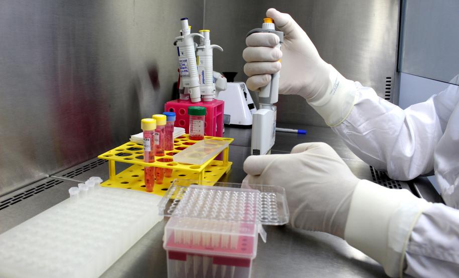 Ensaio de soroneutralização realizado no câmpus Juvevê do Tecpar