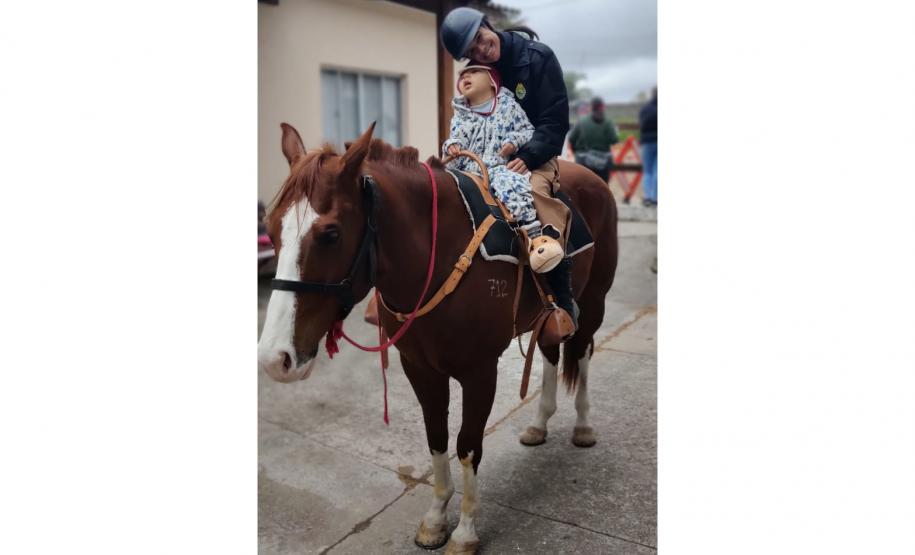 Terapia com cavalos oferecida pela PMPR colabora na qualidade de vida de pessoas com deficiência