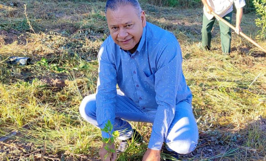 No Dia Mundial do Meio Ambiente, Paraná alcança 9,8 milhões de mudas distribuídas desde 2019.