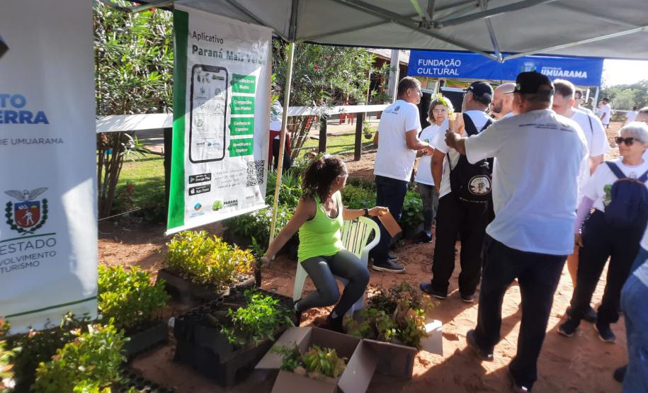 No Dia Mundial do Meio Ambiente, Paraná alcança 9,8 milhões de mudas distribuídas desde 2019.