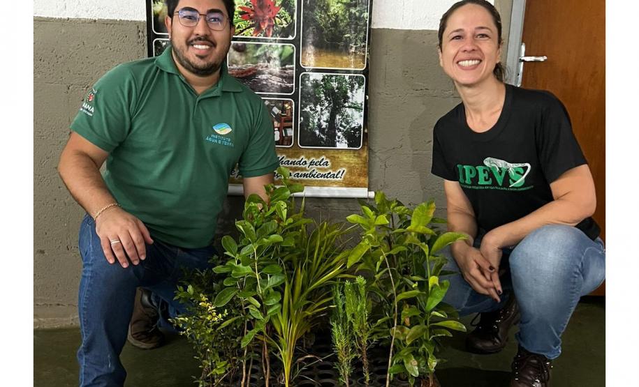 No Dia Mundial do Meio Ambiente, Paraná alcança 9,8 milhões de mudas distribuídas desde 2019.