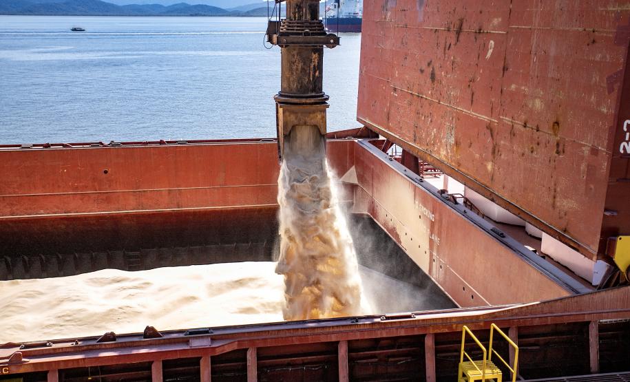 Paraná exporta US$ 9,52 bilhões nos cinco primeiros meses de 2024