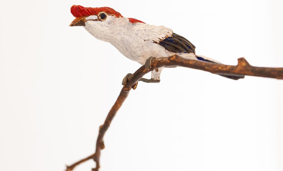 Humberto Gessinger, Efrain Almeida e Noite de Ideias: confira a semana da cultura