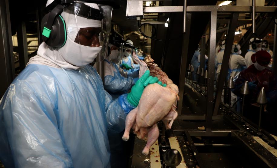 VBP Agropecuário do Paraná cresce 11% em 2023 e alcança R$ 197,8 bilhões