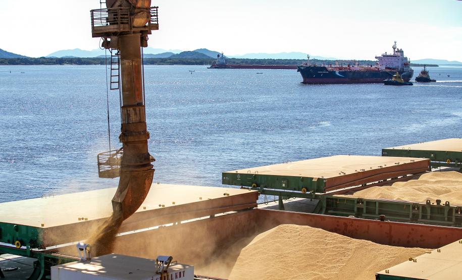 Paraná exporta US$ 9,52 bilhões nos cinco primeiros meses de 2024