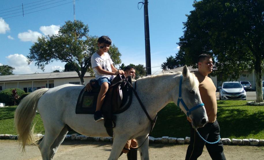 Terapia com cavalos oferecida pela PMPR colabora na qualidade de vida de pessoas com deficiência