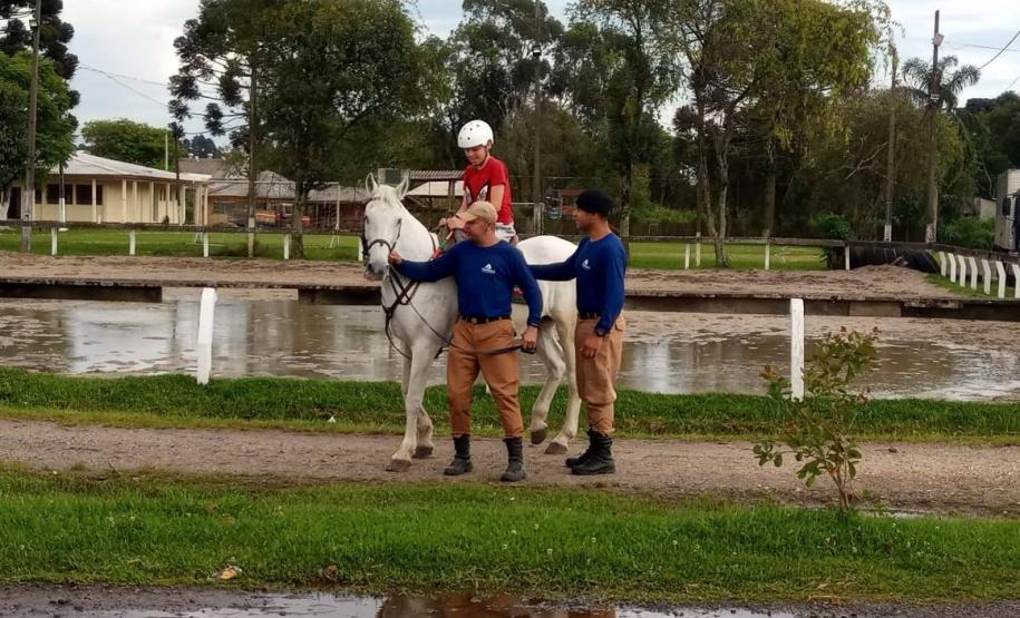 Terapia com cavalos oferecida pela PMPR colabora na qualidade de vida de pessoas com deficiência