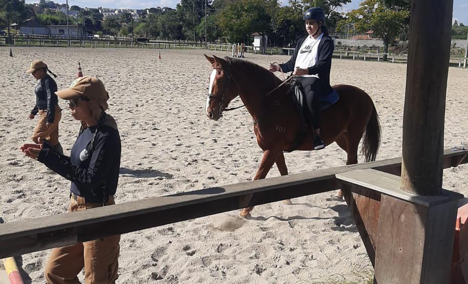 Terapia com cavalos oferecida pela PMPR colabora na qualidade de vida de pessoas com deficiência