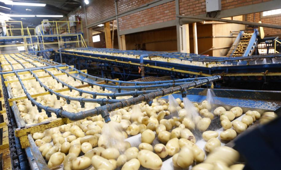 VBP Agropecuário do Paraná cresce 11% em 2023 e alcança R$ 197,8 bilhões