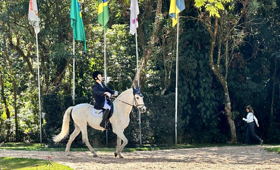 Terapia com cavalos oferecida pela PMPR colabora na qualidade de vida de pessoas com deficiência